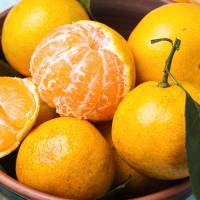 Quelques bienfaits des mandarines