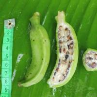 Des graines dans une banane pour mieux garnir nos tables à manger 